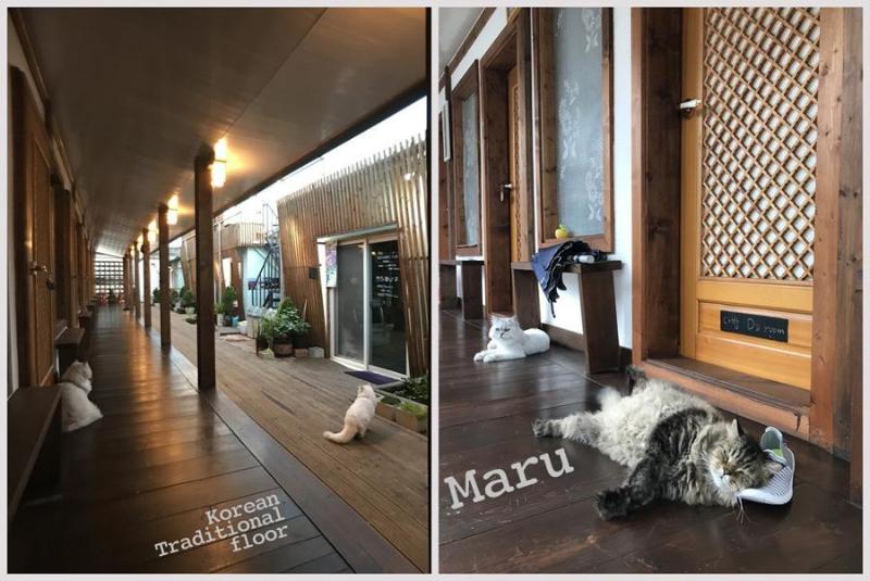 פנסיון Sindal Guesthouse