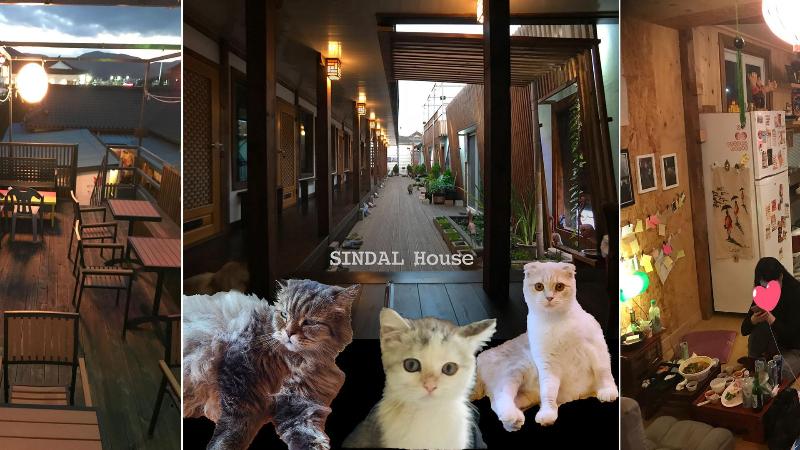 פנסיון Sindal Guesthouse