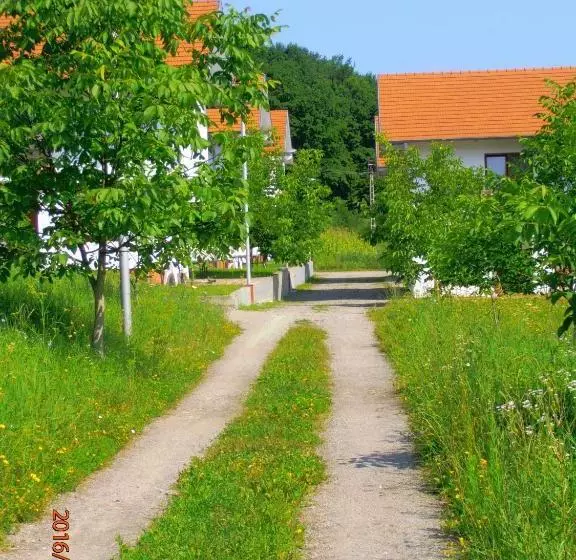 Pensiune Denisa