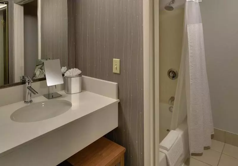 فندق Courtyard St. Louis Airport/earth City