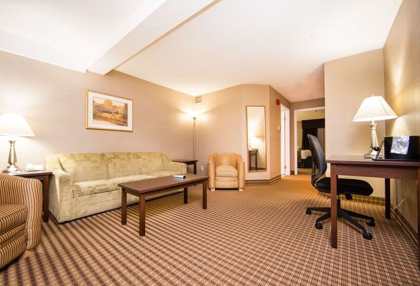 Best Western Barons Hotel & Conference Centre