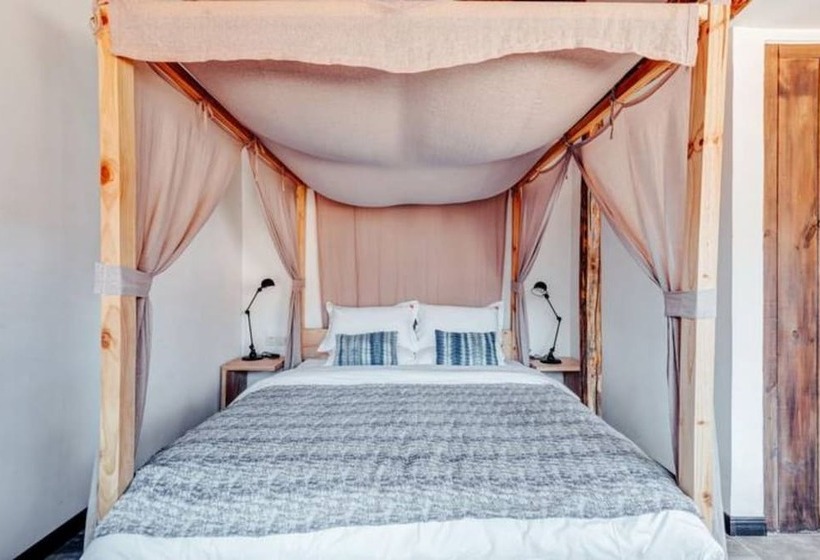 פונדק Home Coming Spring