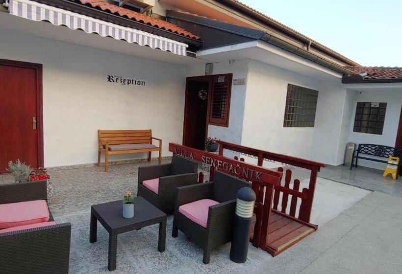 پانسیون Villa Senegačnik