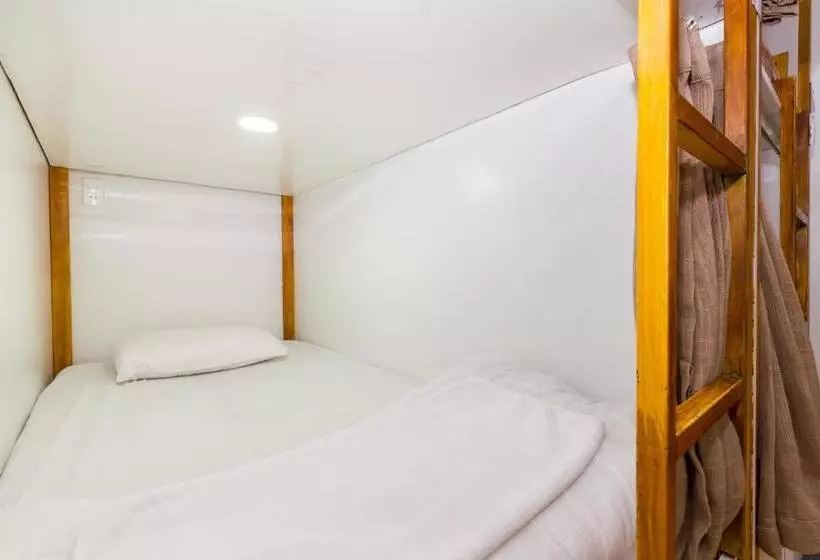 هاستل Ace Home Viet Nam
