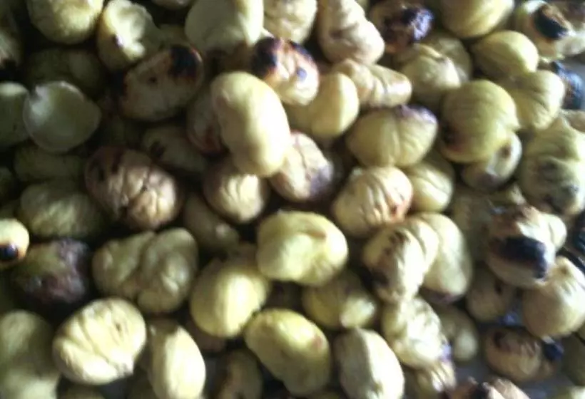 ホテル Fattoria Il Pigelleto
