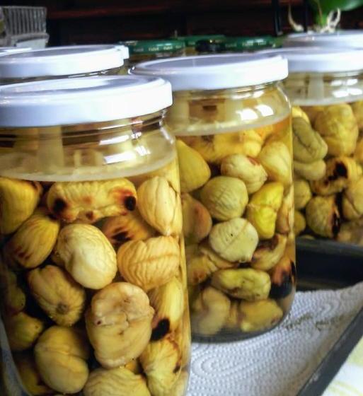 ホテル Fattoria Il Pigelleto