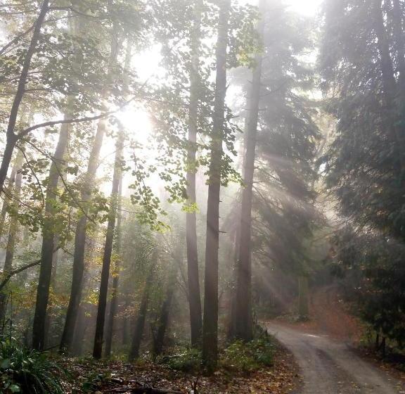 ホテル Fattoria Il Pigelleto
