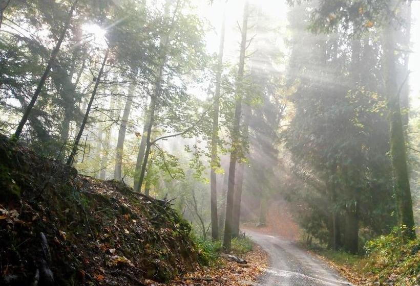 ホテル Fattoria Il Pigelleto