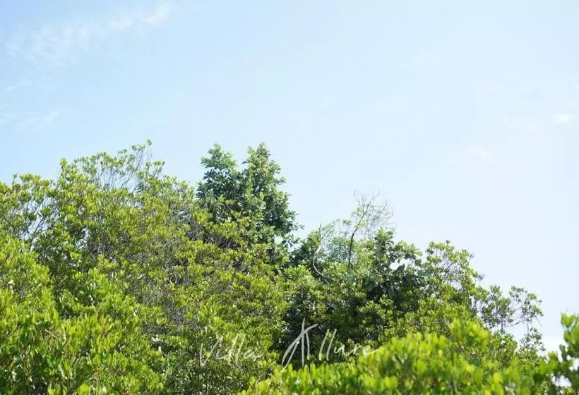 استراحتگاه Villa Allure Koh Mak