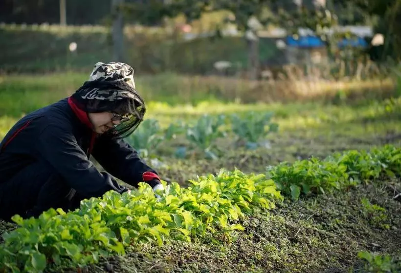 Ryokan Satoyama No Auberge Maki No Oto