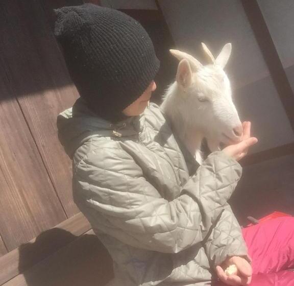 فندق Kumano Winery Guest House