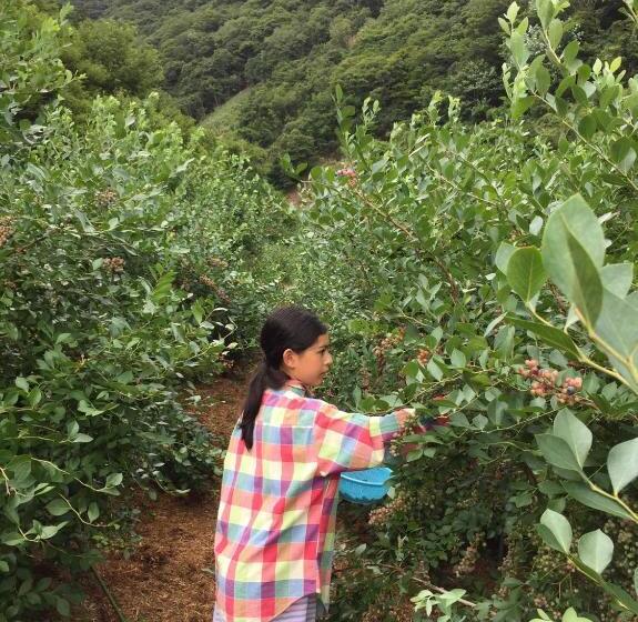 فندق Kumano Winery Guest House