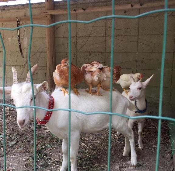 فندق Kumano Winery Guest House