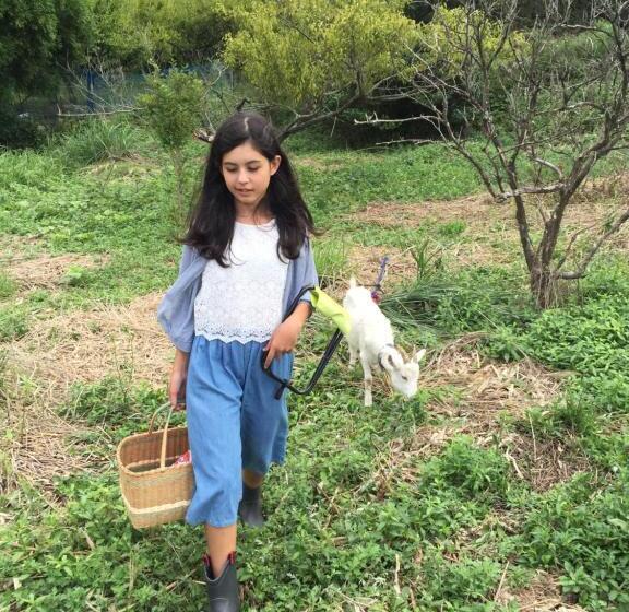 فندق Kumano Winery Guest House