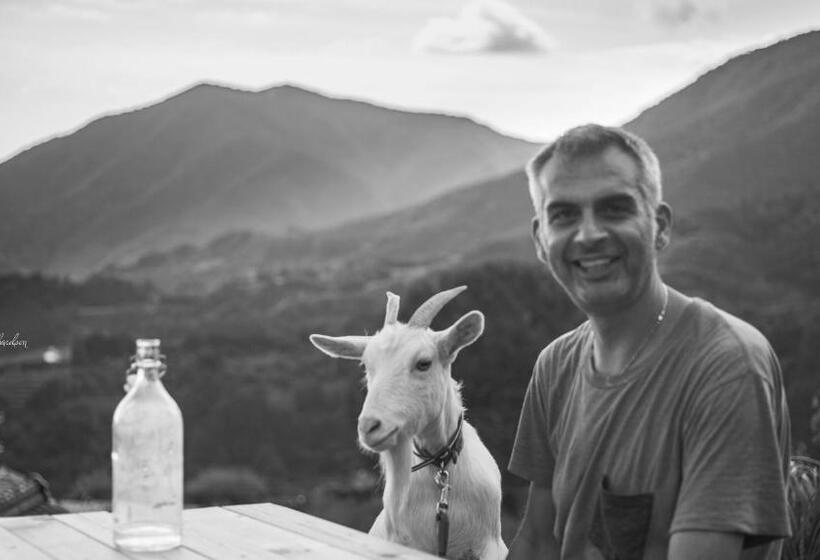 فندق Kumano Winery Guest House