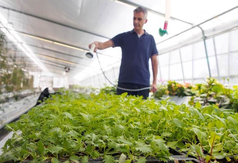 فندق Kumano Winery Guest House