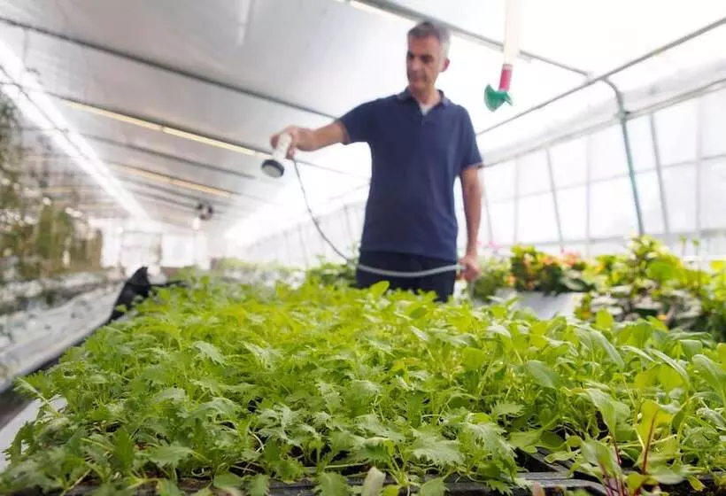 Hotelli Kumano Winery Guest House