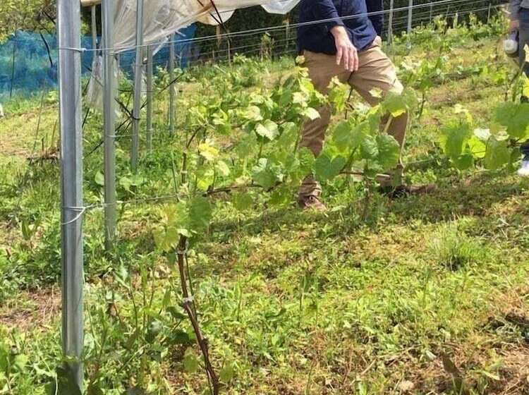 فندق Kumano Winery Guest House