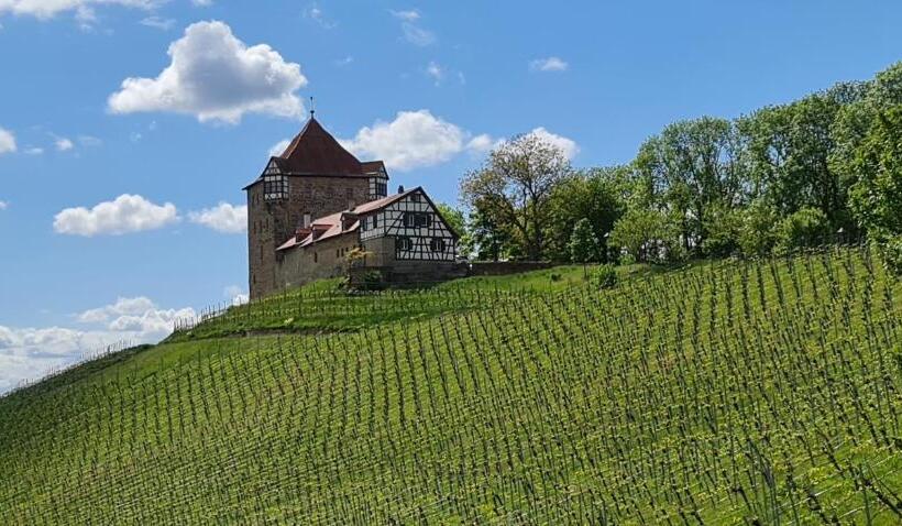 Hotel Sali Homes Gaestehaus Lamm Obersulm