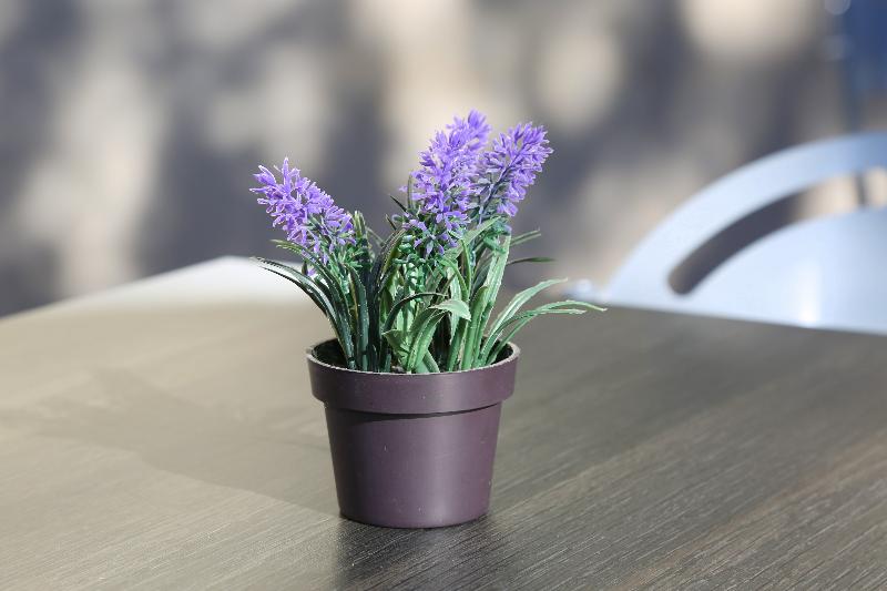 Résidence Les Académies Aixoise