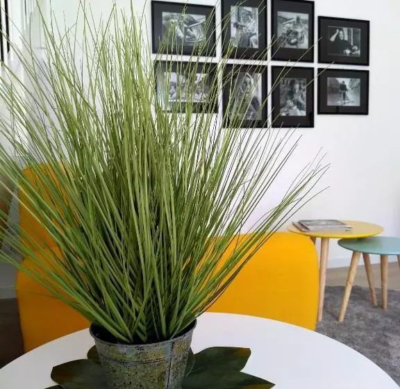 Le Mandragole B&b