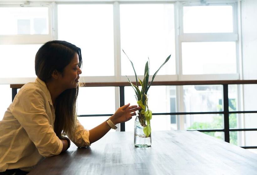 Hostel Sunterrace Ishigaki