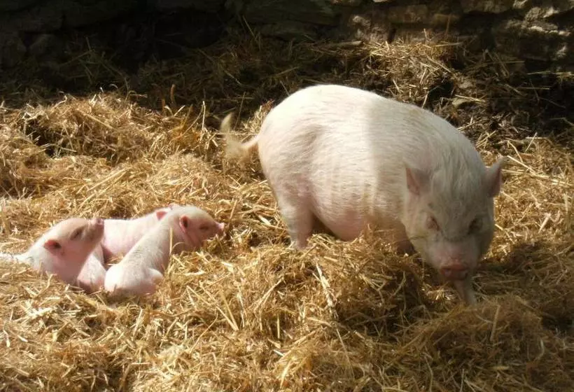 هتل La Ferme Des Cévennes