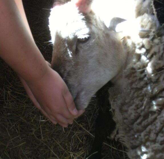 فندق La Ferme Des Cévennes