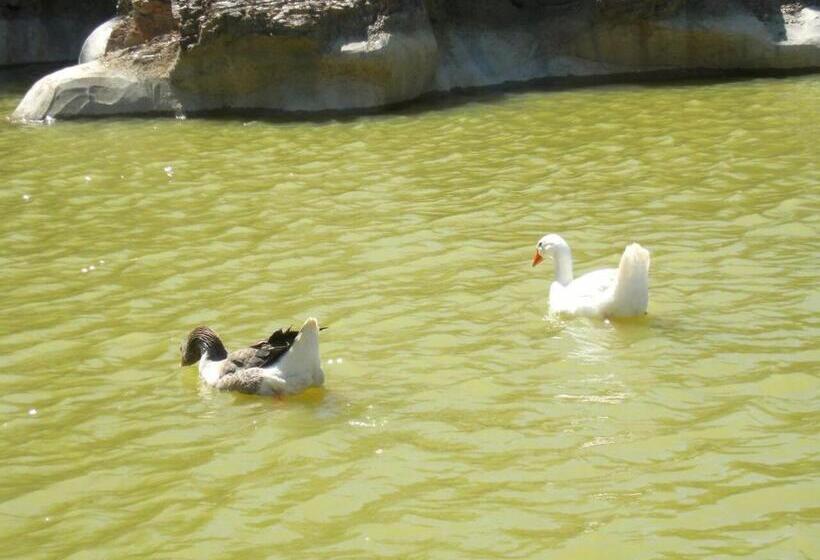 فندق La Ferme Des Cévennes