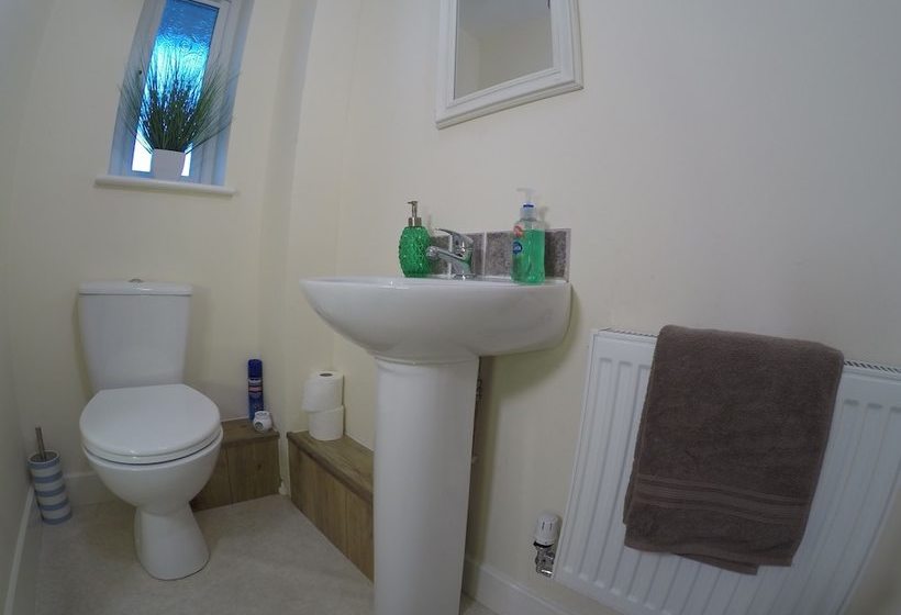 Cosy Dragon @tanglewood