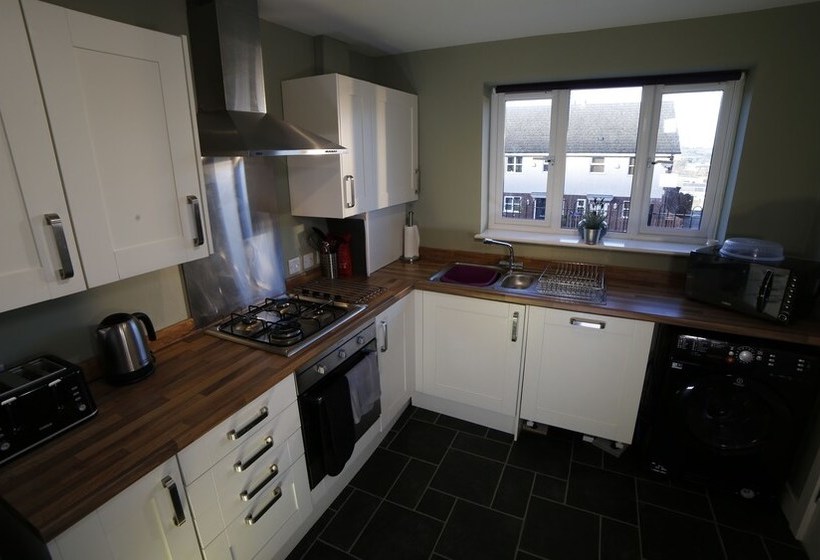 Cosy Dragon @tanglewood