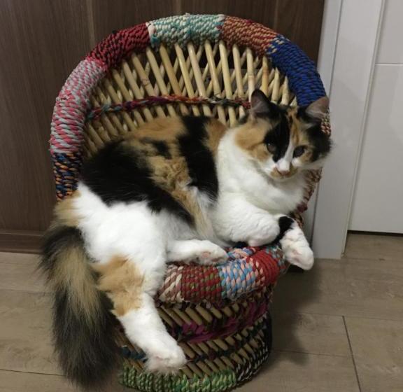 펜션 Hostel Beija Flôr