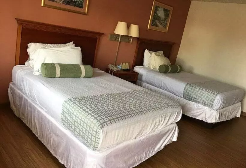 ホテル America S Best Value Inn Marion