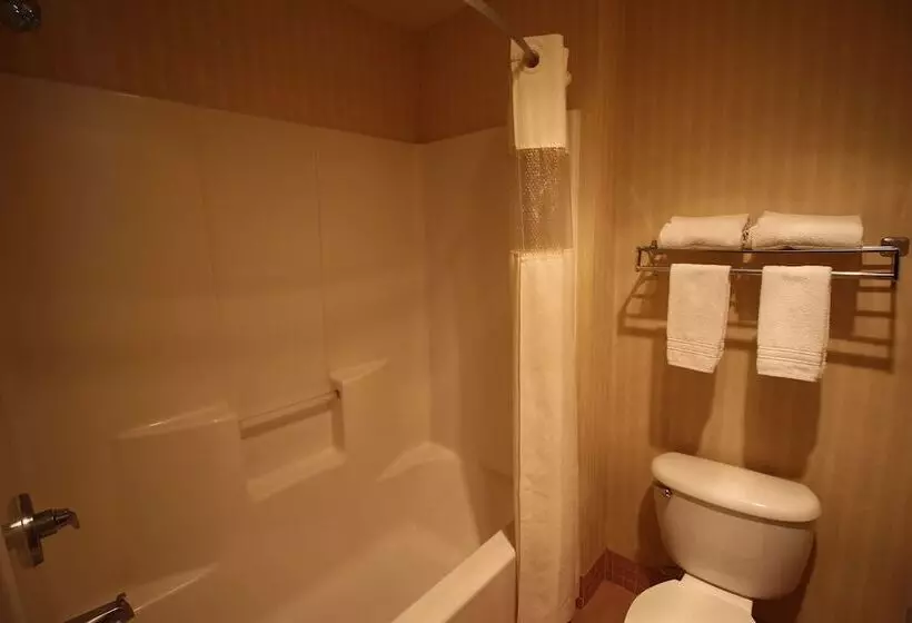 ホテル Days Inn By Wyndham Safford, Az