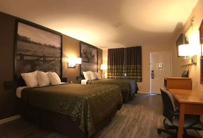 호텔 Super 8 By Wyndham Terrell