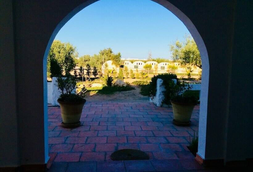 ペンション Domaine El Manar