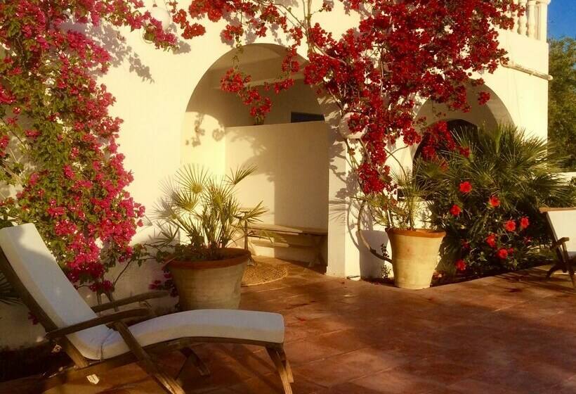 ペンション Domaine El Manar