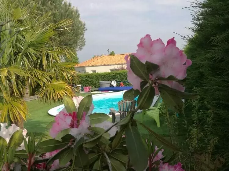 ペンション Gîte Le Pavachon