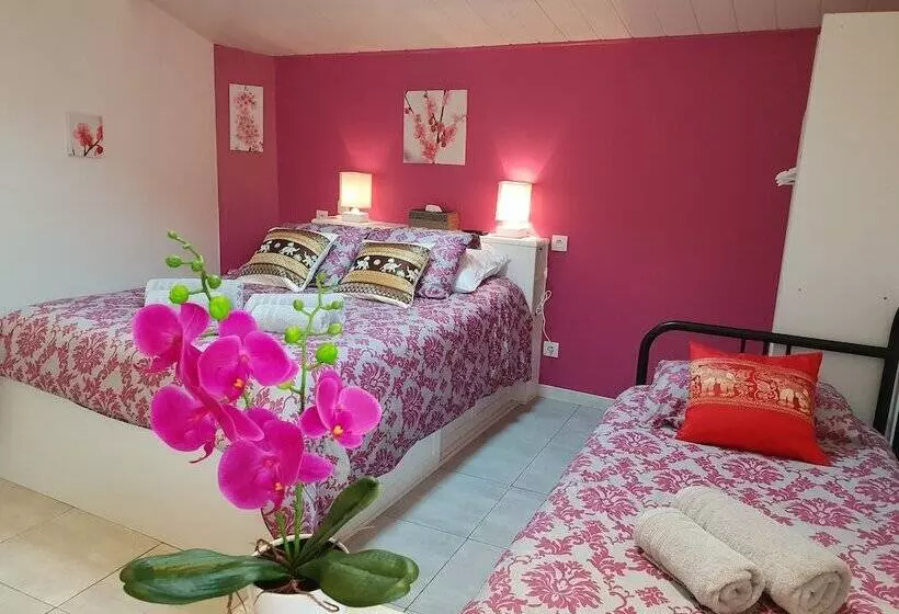 ペンション Gîte Le Pavachon