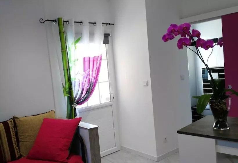 ペンション Gîte Le Pavachon