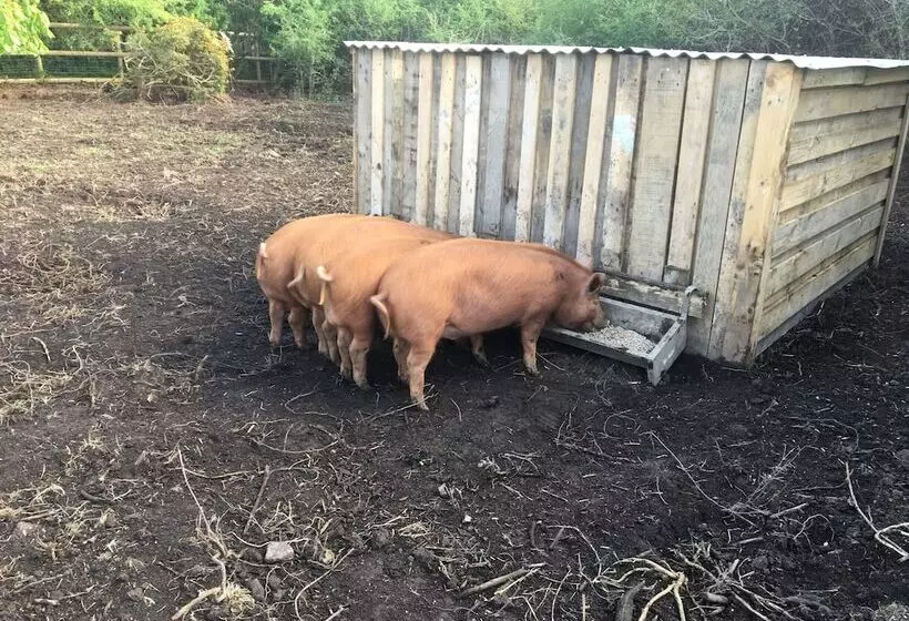 Majatalo Higher Trenear Farm B&b