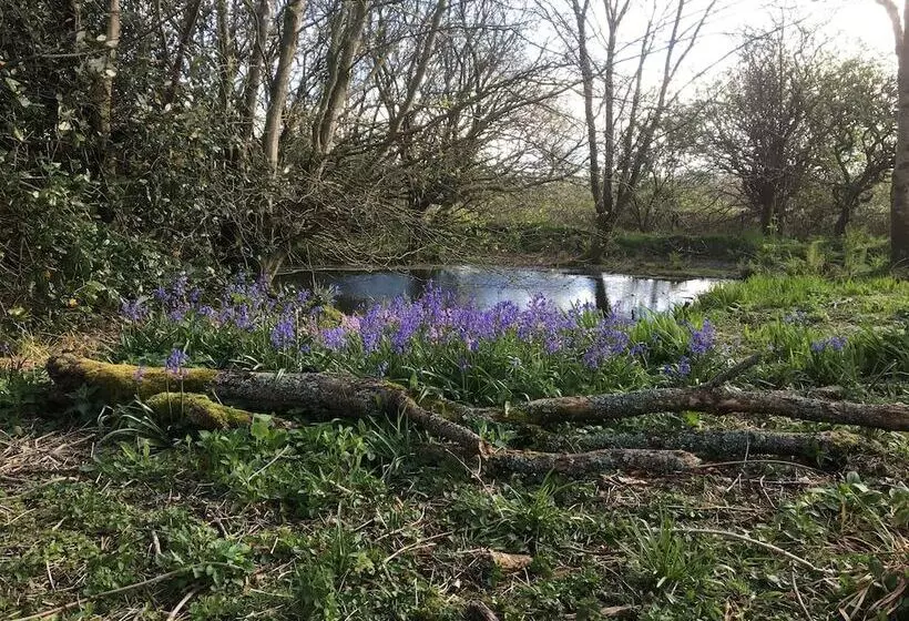 Majatalo Higher Trenear Farm B&b