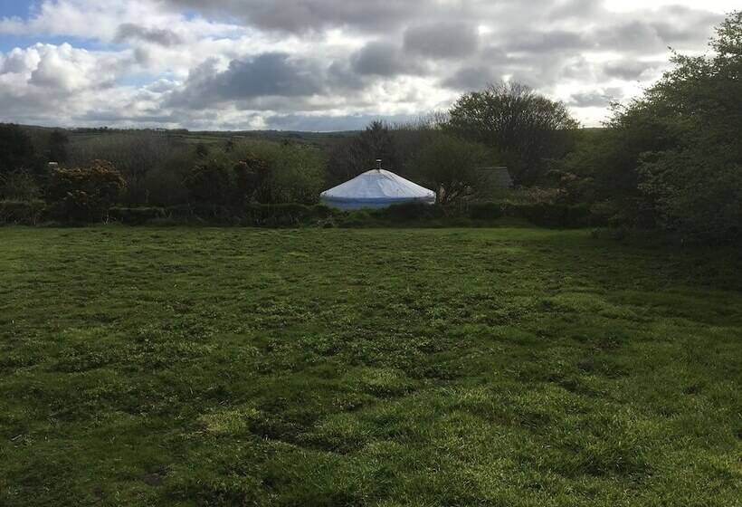 بنسيون Higher Trenear Farm B&b