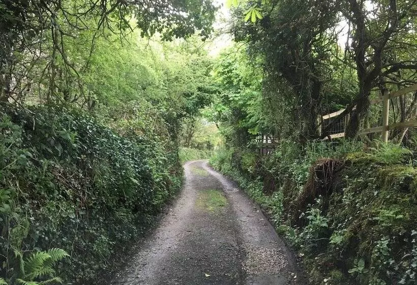 Majatalo Higher Trenear Farm B&b