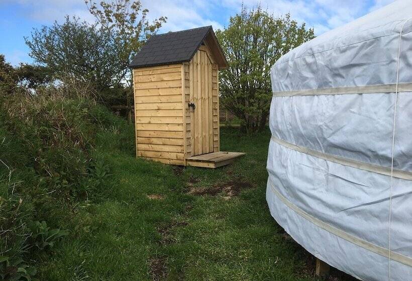 بنسيون Higher Trenear Farm B&b