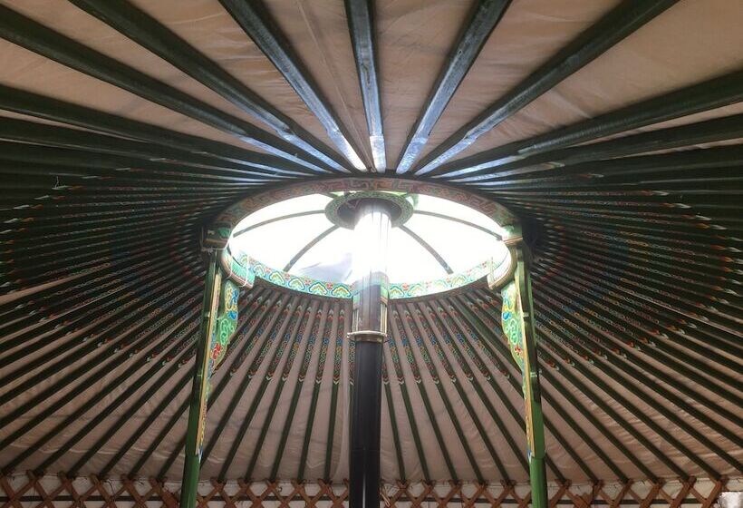 بنسيون Higher Trenear Farm B&b