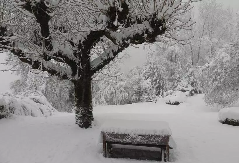 ペンション Le Figarelou