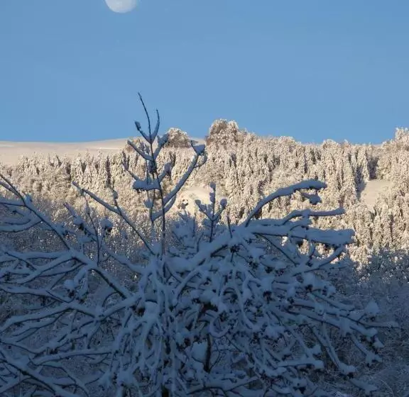 ペンション Le Figarelou