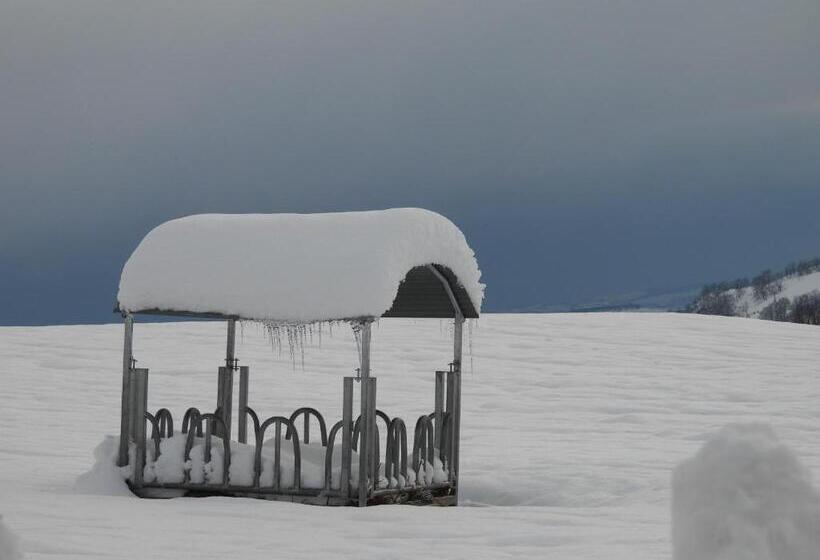 بنسيون Le Figarelou