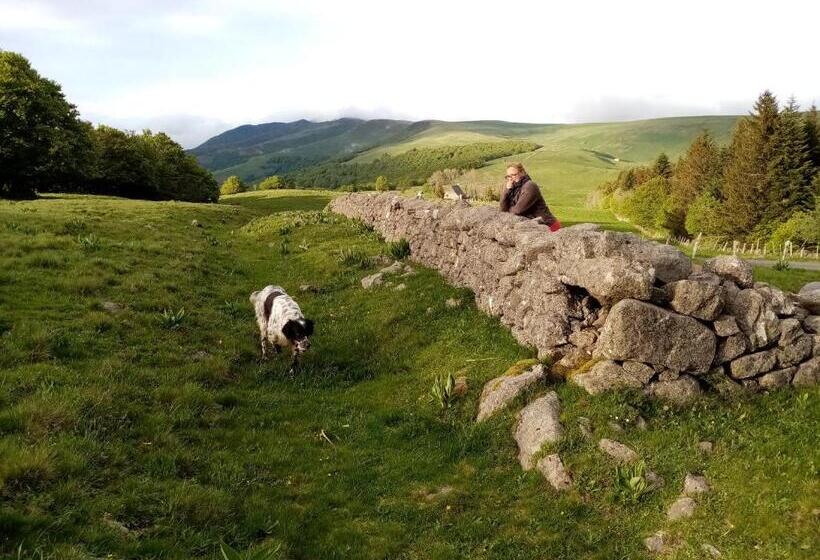 بنسيون Le Figarelou